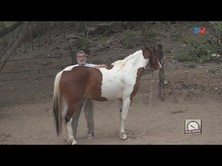 "EL SECRETO DEL PUEBLO ESCONDIDO" | EN EL CAMINO