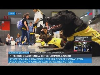 Perros de asistencia: entrenar para ayudar