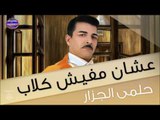 حلمى الجزار عشان مفيش كلاب