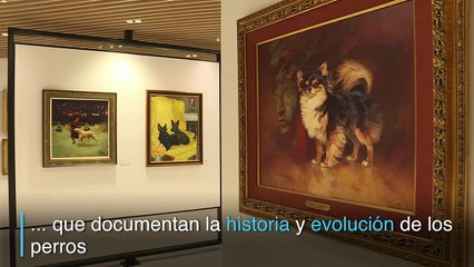 Los perros ya tienen un museo que los homenajea