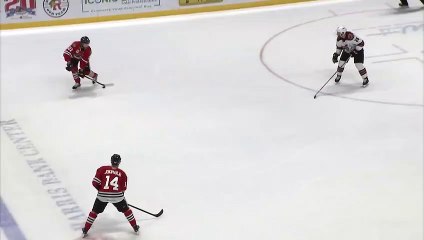 Tuscon Roadrunners (1) Vs. Rockford IceHogs (3)