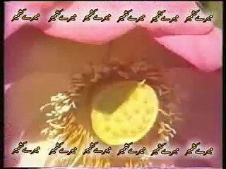 JAMMU O KASHMIR MEIN AB (SALEEM NAZ BARELVI)