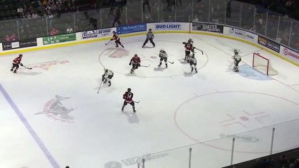 WHL Medicine Hat Tigers 1 at Everett Silvertips 0