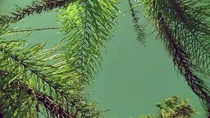 금산출장안마 {Ø7Øx7575xØØ77}【카톡VVV75】금산출장샵'예약'금산출장마사지 금산여대생출장 금산여고생출장 금산콜걸샵