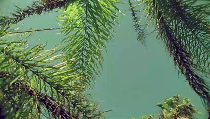 수성출장안마 {Ø7Øx7575xØØ77}【카톡VVV75】수성출장샵'예약'수성출장마사지 수성여대생출장 수성여고생출장 수성콜걸샵