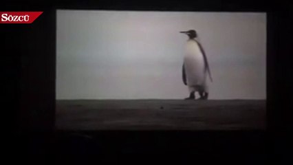 Saadet Partisi’nden yeni reklam!
