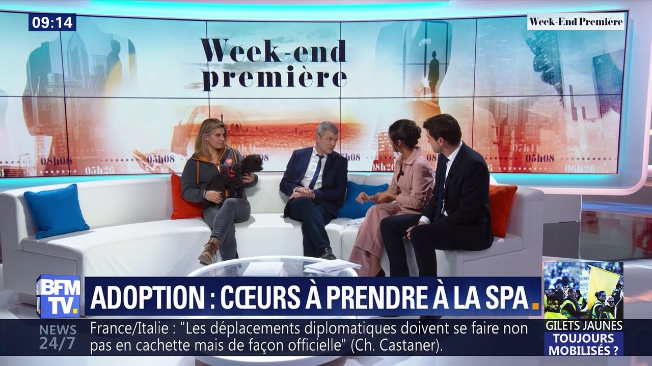 Adoption: cœurs à prendre à la SPA