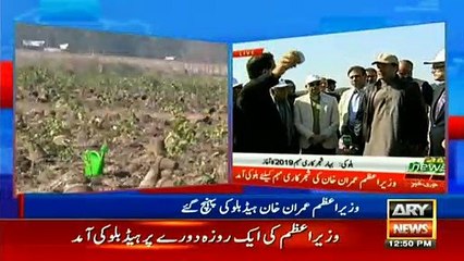 PM Imran Khan launches ‘10 bn tree plantation drive’
