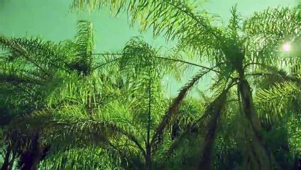 삼척출장안마 {Ø7Øx7575xØØ77}【카톡VVV75】삼척출장샵'예약'삼척출장마사지 삼척여대생출장 삼척여고생출장 삼척콜걸샵