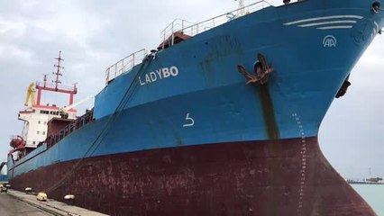 Türk Kızılay'ın Bulgaristan'daki Yardım Çalışmaları