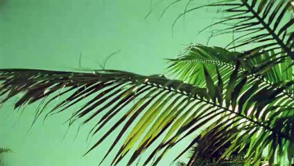 횡성출장안마 {Ø7Øx7575xØØ77}【카톡VVV75】횡성출장샵'예약'횡성출장마사지 횡성여대생출장 횡성여고생출장 횡성콜걸샵