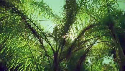 괴산출장안마 {Ø7Øx7575xØØ77}【카톡VVV75】괴산출장샵'예약'괴산출장마사지 괴산여대생출장 괴산여고생출장 괴산콜걸샵