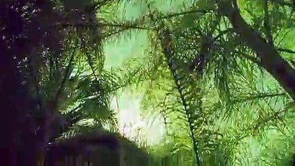 보은출장안마 {Ø7Øx7575xØØ77}【카톡VVV75】보은출장샵'예약'보은출장마사지 보은여대생출장 보은여고생출장 보은콜걸샵