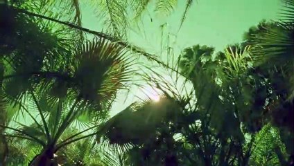 옥천출장안마 {Ø7Øx7575xØØ77}【카톡VVV75】옥천출장샵'예약'옥천출장마사지 옥천여대생출장 옥천여고생출장 옥천콜걸샵