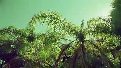 진천출장안마 {Ø7Øx7575xØØ77}【카톡VVV75】진천출장샵'예약'진천출장마사지 진천여대생출장 진천여고생출장 진천콜걸샵