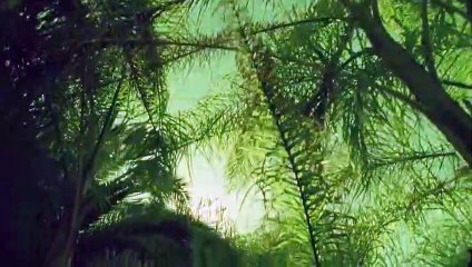 서원출장안마 {Ø7Øx7575xØØ77}【카톡VVV75】서원출장샵'예약'서원출장마사지 서원여대생출장 서원여고생출장 서원콜걸샵