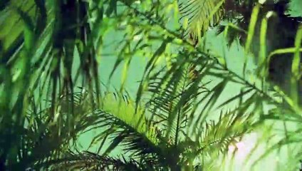 완주출장안마 {Ø7Øx7575xØØ77}【카톡VVV75】완주출장샵'예약'완주출장마사지 완주여대생출장 완주여고생출장 완주콜걸샵