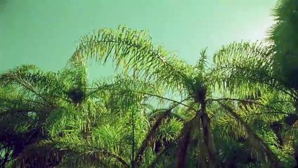 전주출장안마 {Ø7Øx7575xØØ77}【카톡VVV75】전주출장샵'예약'전주출장마사지 전주여대생출장 전주여고생출장 전주콜걸샵