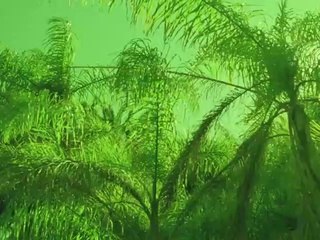 경산출장안마 {Ø7Øx7575xØØ77}【카톡VVV75】경산출장샵'예약'경산출장마사지 경산여대생출장 경산여고생출장 경산콜걸샵