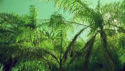 안동출장안마 {Ø7Øx7575xØØ77}【카톡VVV75】안동출장샵'예약'안동출장마사지 안동여대생출장 안동여고생출장 안동콜걸샵