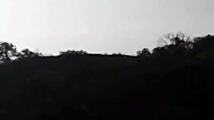 குற்றாலத்தைக் கலக்கிய இரண்டு சிறுத்தைகள்-வீடியோ