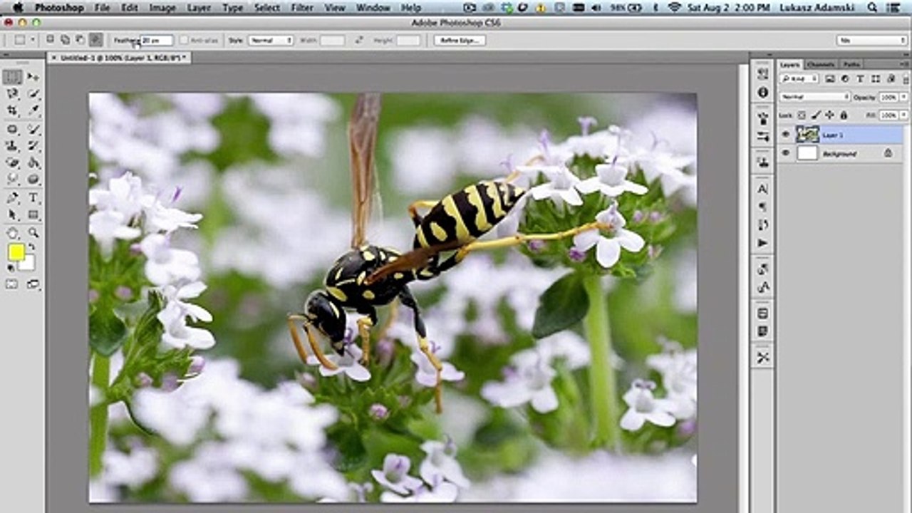 How to use marquee tools in Photoshop?