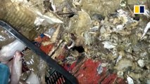 Plastic pollution concerns Malaysian fishermen