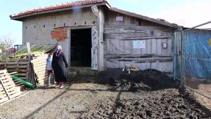 Ev hanımıydı devlet desteğiyle üretici oldu - TEKİRDAĞ