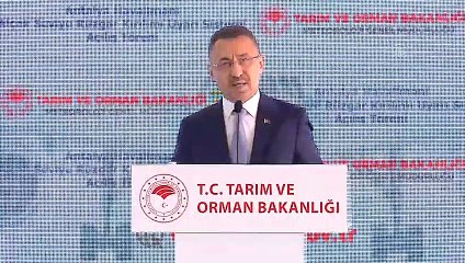 Cumhurbaşkanı Yardımcısı Oktay: 'Türkiye'nin yüz akı Antalya hepimizin gurur kaynağıdır' - ANTALYA