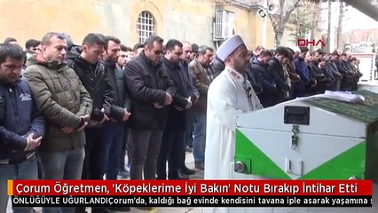 Çorum Öğretmen, 'Köpeklerime İyi Bakın' Notu Bırakıp İntihar Etti