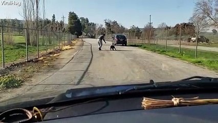 مشهد مؤثر لكلب يتوسل صاحبه ألا يتخلى عنه ويتركه وحيداً