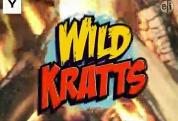 Wild Kratts - Masked Bandits