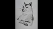 Doge wow much artsy such wow I Ink Wash Time Lapse | Speedpaint | Meme Series #0002