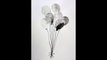 Ink Painting Time Lapse | Balloons | Ink wash | Speedpaint