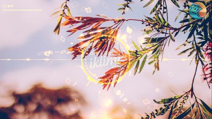 Mâide Suresi 54 57 Habib DEVECİ - 4K Best Quran - Harika Tilavet