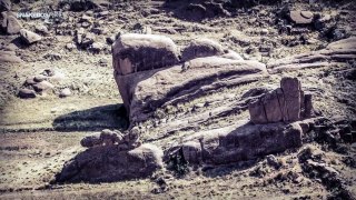 La puerta Estelar de HAYU MARCA sigue esperando a los DIOSES