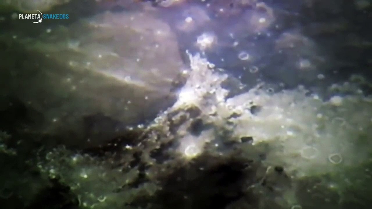 La verdad sobre los ovnis y las estructuras alienígenas en la Luna