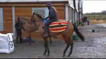 UK horse racing cancelled after outbreak of equine flu
