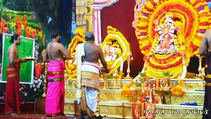 மாத்தளை முத்துமாரியம்மன்/பன்னிரண்டாம் நாள் இரவு உற்சவம் 08.02.2019
