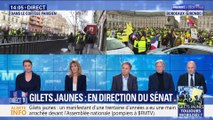 Treizième samedi de mobilisation des gilets jaunes (1/2)