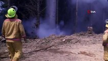 - Yeni Zelanda’da Orman Yangınları Söndürülemiyor- 3 Bin Kişi Tahliye Edildi