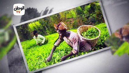 فيديو يوضح أولويات الرئاسة المصرية تجاه الاتحاد الإفريقي