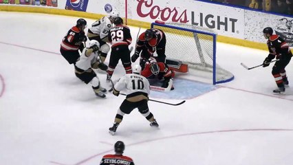 ECHL - Growlers 2 vs. Komets 3