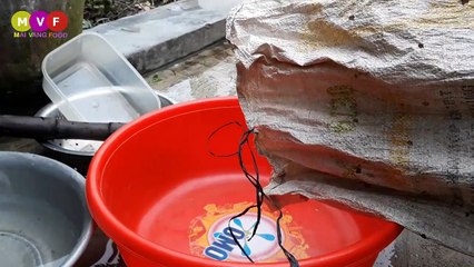 copper crabs are too much - bake some children for fun