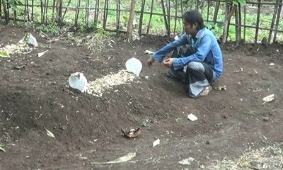 Diduga Keracunan Ikan, Dua Orang di Probolinggo Meninggal Dunia