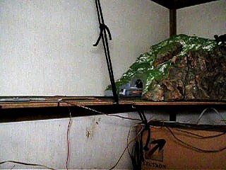 「一人暮らしする前のレイアウト」在りし日の西尾道線