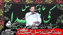 Zakir Qaisar Raza Alivi 10 Chak Gujran Chinyot 18th Muhram 1440(2018) Choti Behak Hafizabad