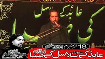 Zakir Sikandar Mohsin Hafiz Abdad 18th Muhram 1440(2018) Choti Behak Hafizabad