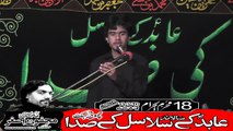 Zakir Syed Wadood Hussain Sial kot 18th Muhram 1440(2018) Choti Behak Hafizabad