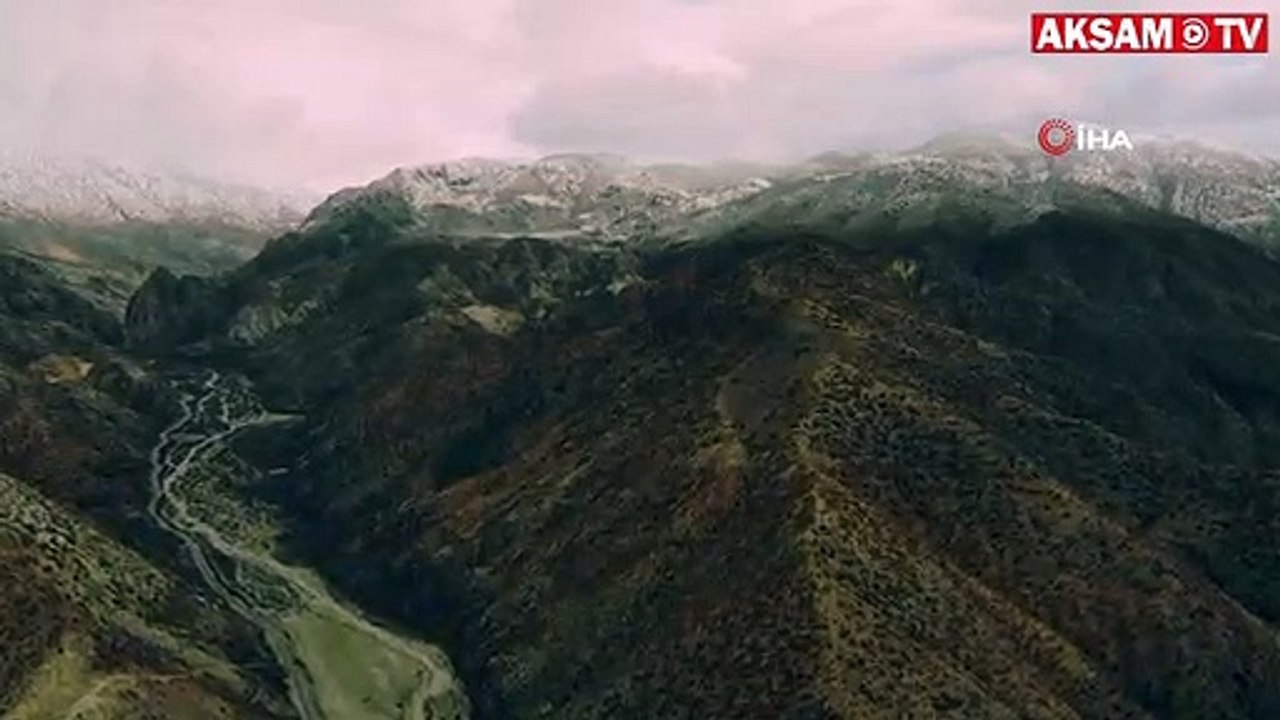 Karlı dağlarda yaban keçileri havadan görüntülendi